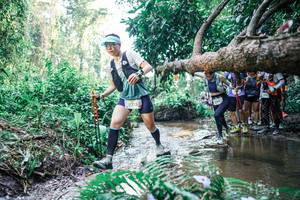 BIB: 
                            <button type="button" onclick="openModal(25465997)" class="btn btn-primary btn-sm float-right btn-popup" data-toggle="modal" data-target=".modal-high-quality">
                        <i class="fas fa-shopping-cart"></i> Add to Cart
                    </button>
                                            <button type="button" onclick="isThisMe(25465997, true)" class="btn btn-success btn-sm float-right btn-popup btn-isme hidden" data-toggle="tooltip" data-placement="bottom" title="นี่คือรูปของคุณใช่ไหม คลิกที่นี่เพื่อเอาเข้าอัลบั้ม">
                        <i class="fas fa-plus"></i> Add to album
                    </button>
                    <button type="button" onclick="isThisMe(25465997, false)" class="btn btn-warning btn-sm float-right btn-popup btn-isnotme hidden">
                        <i class="fas fa-ban"></i> Remove from album
                    </button>